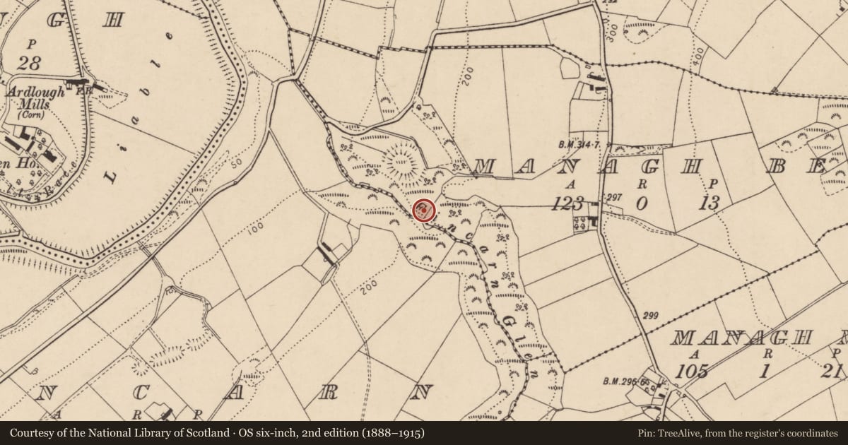 Ordnance Survey six-inch map, 2nd edition (1888–1915) covering the location of Ammunition bunker, Managh Beg, Derry City and Strabane, with a pin at the register's coordinates