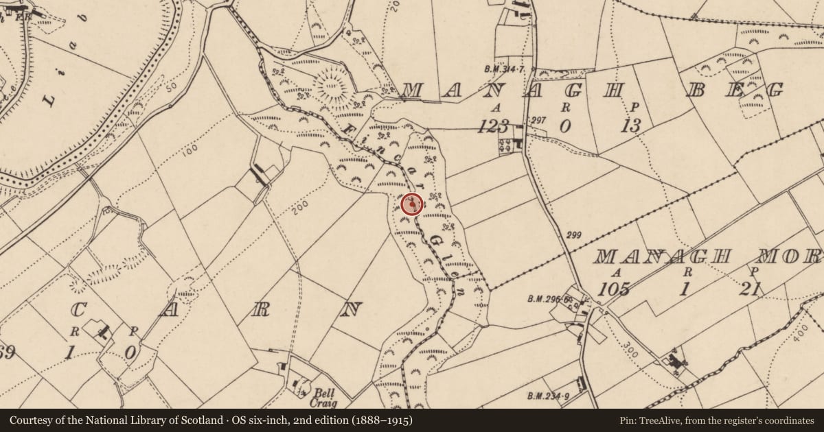 Ordnance Survey six-inch map, 2nd edition (1888–1915) covering the location of Ammunition bunker, Fincarn, Derry City and Strabane, with a pin at the register's coordinates