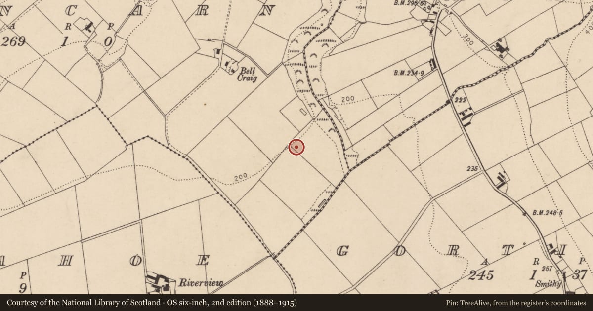 Ordnance Survey six-inch map, 2nd edition (1888–1915) covering the location of Ammunition bunker, Fincarn, Derry City and Strabane, with a pin at the register's coordinates