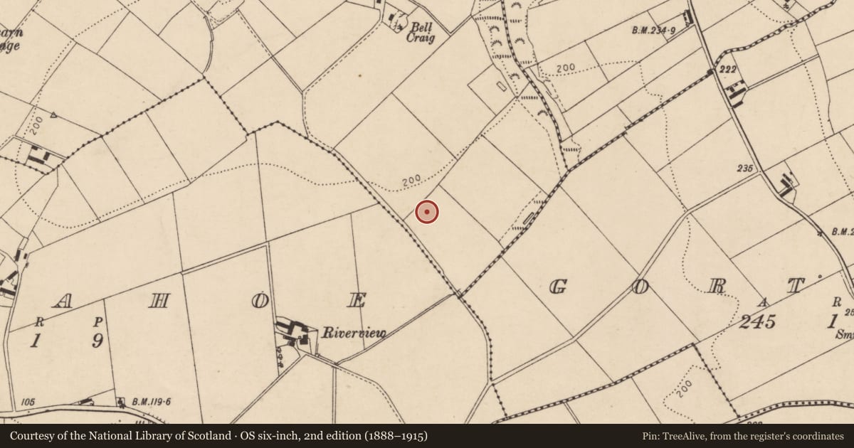 Ordnance Survey six-inch map, 2nd edition (1888–1915) covering the location of Blast Shelter, Fincarn, Derry City and Strabane, with a pin at the register's coordinates