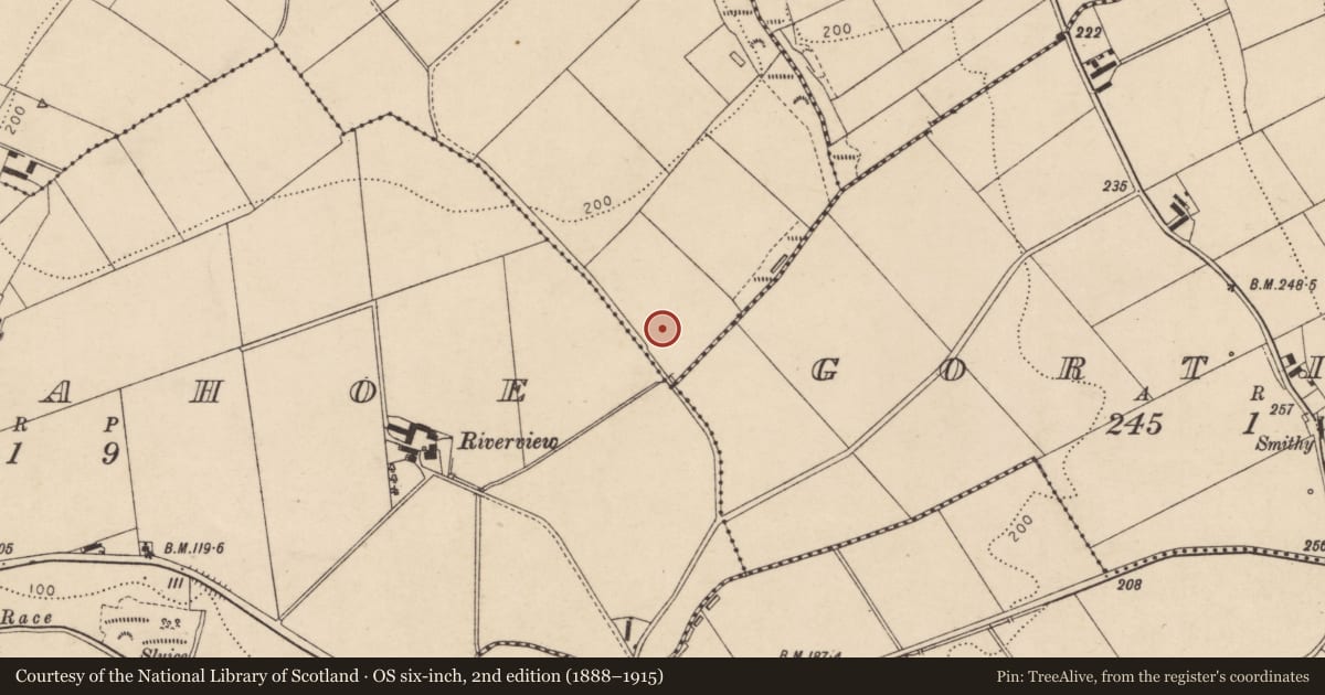 Ordnance Survey six-inch map, 2nd edition (1888–1915) covering the location of Ammunition bunker, Fincarn, Derry City and Strabane, with a pin at the register's coordinates