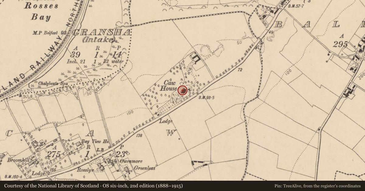 Ordnance Survey six-inch map, 2nd edition (1888–1915) covering the location of Caw House, Derry City and Strabane, with a pin at the register's coordinates