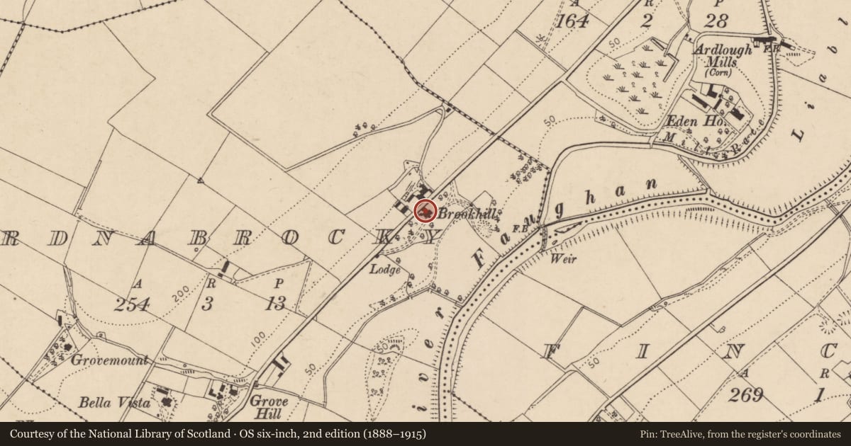 Ordnance Survey six-inch map, 2nd edition (1888–1915) covering the location of Brookhill House, Ardnabrocky, Derry City and Strabane, with a pin at the register's coordinates