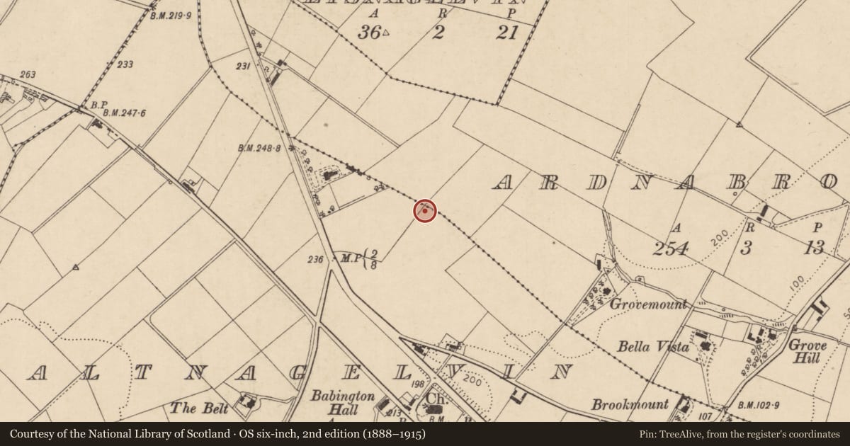 Ordnance Survey six-inch map, 2nd edition (1888–1915) covering the location of Altnagelvin Hospital, Derry City and Strabane, with a pin at the register's coordinates