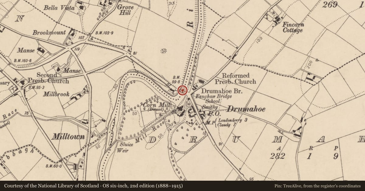 Ordnance Survey six-inch map, 2nd edition (1888–1915) covering the location of Drumahoe Bridge, Ardnabrocky, Derry City and Strabane, with a pin at the register's coordinates