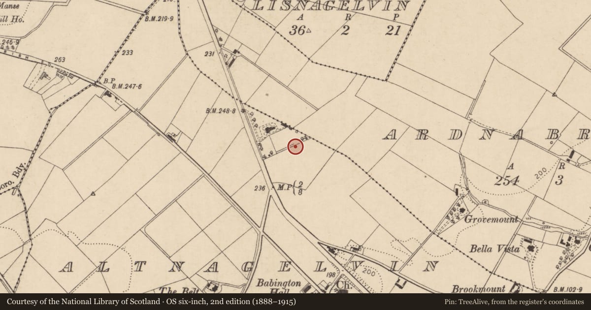 Ordnance Survey six-inch map, 2nd edition (1888–1915) covering the location of Princess Macha Statue Sculpture, Altnagelvin, Derry City and Strabane, with a pin at the register's coordinates