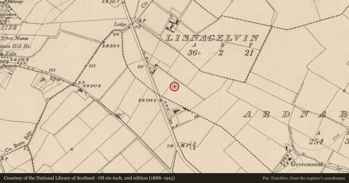 Ordnance Survey six-inch map, 2nd edition (1888–1915) covering the location of Nurses Home, Altnagelvin, Derry City and Strabane, with a pin at the register's coordinates