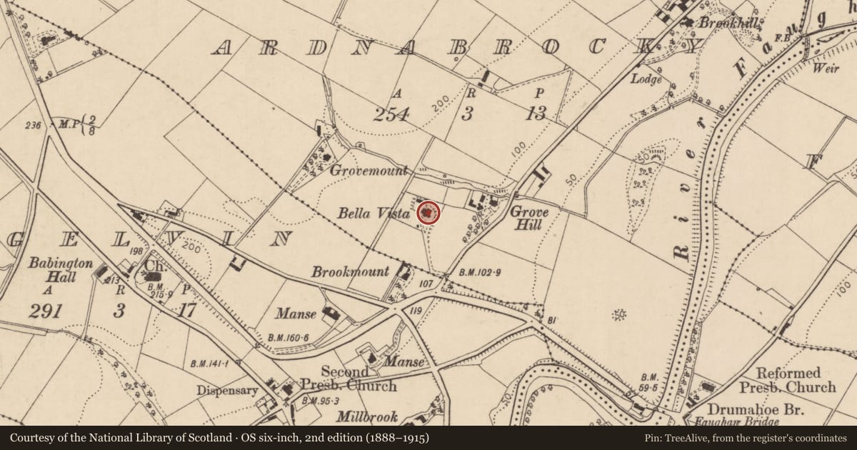 Ordnance Survey six-inch map, 2nd edition (1888–1915) covering the location of Bella Vista, Ardnabrocky, Derry City and Strabane, with a pin at the register's coordinates