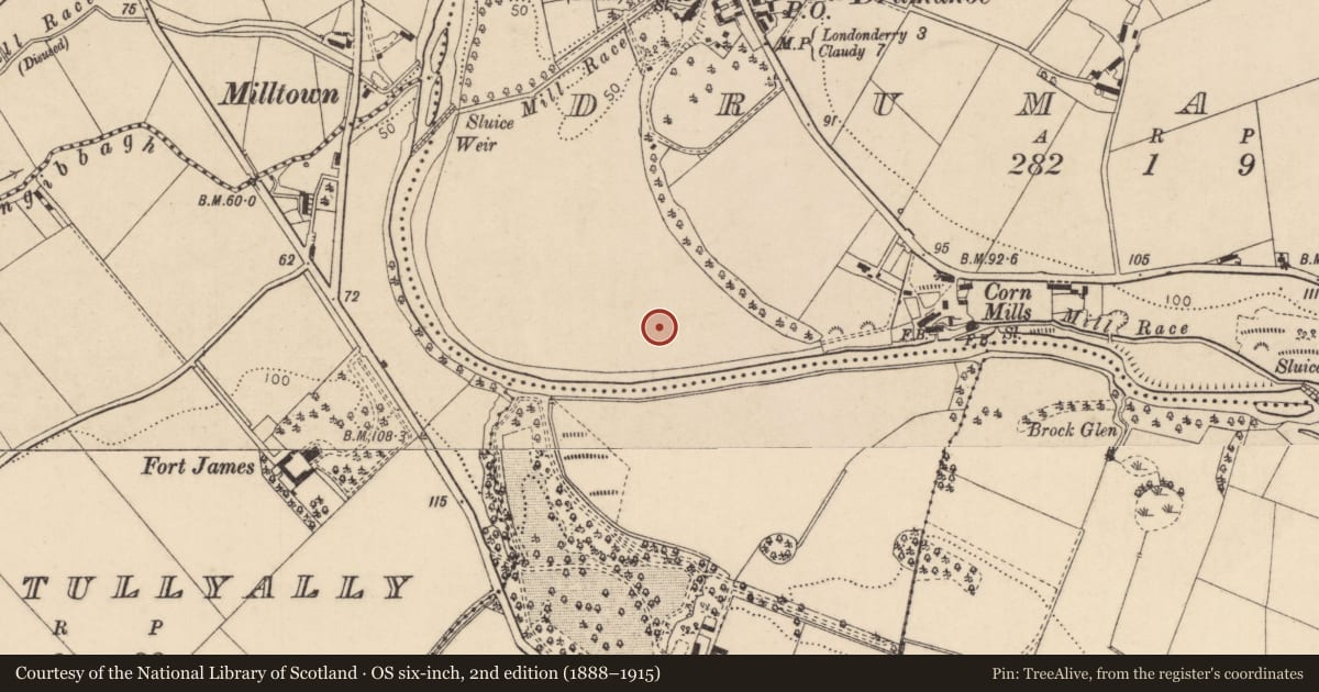 Ordnance Survey six-inch map, 2nd edition (1888–1915) covering the location of Three Mile House, Ardnabrocky, Derry City and Strabane, with a pin at the register's coordinates