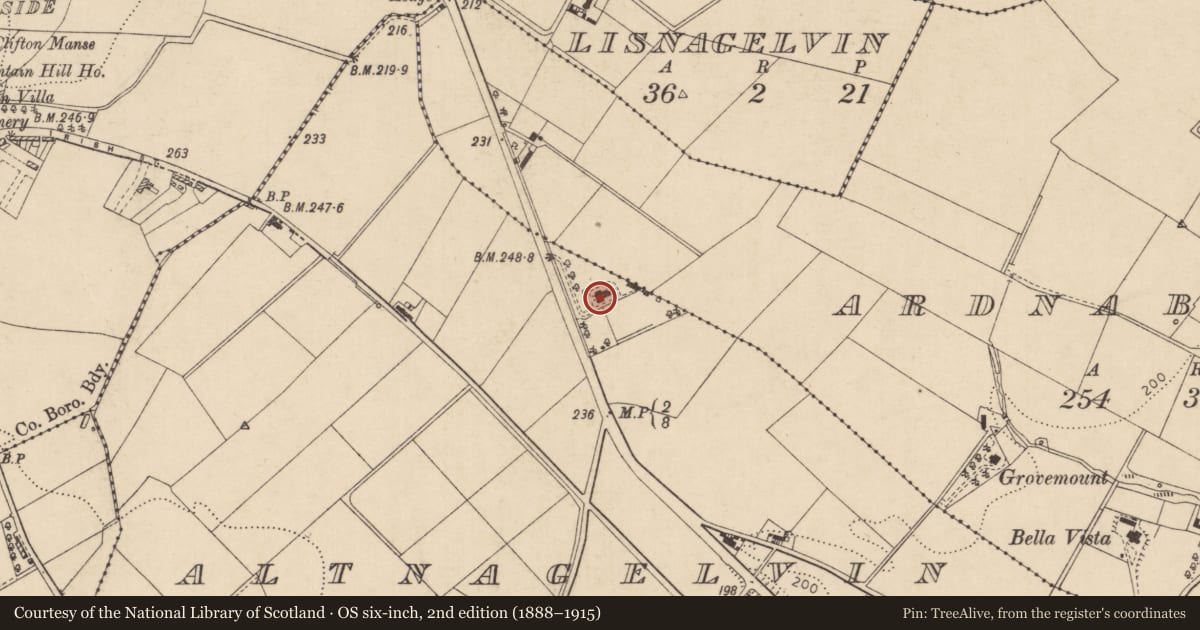 Ordnance Survey six-inch map, 2nd edition (1888–1915) covering the location of Agnes Jones House, Altnagelvin, Derry City and Strabane, with a pin at the register's coordinates