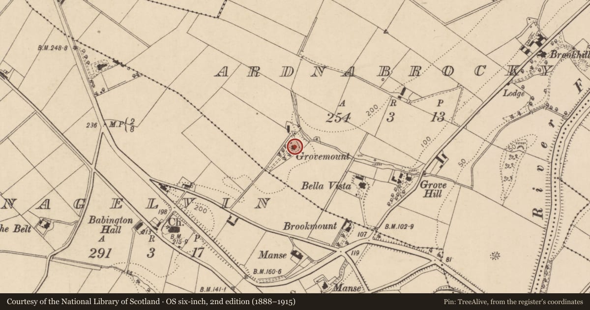 Ordnance Survey six-inch map, 2nd edition (1888–1915) covering the location of Grovemount House, Ardnabrocky, Derry City and Strabane, with a pin at the register's coordinates