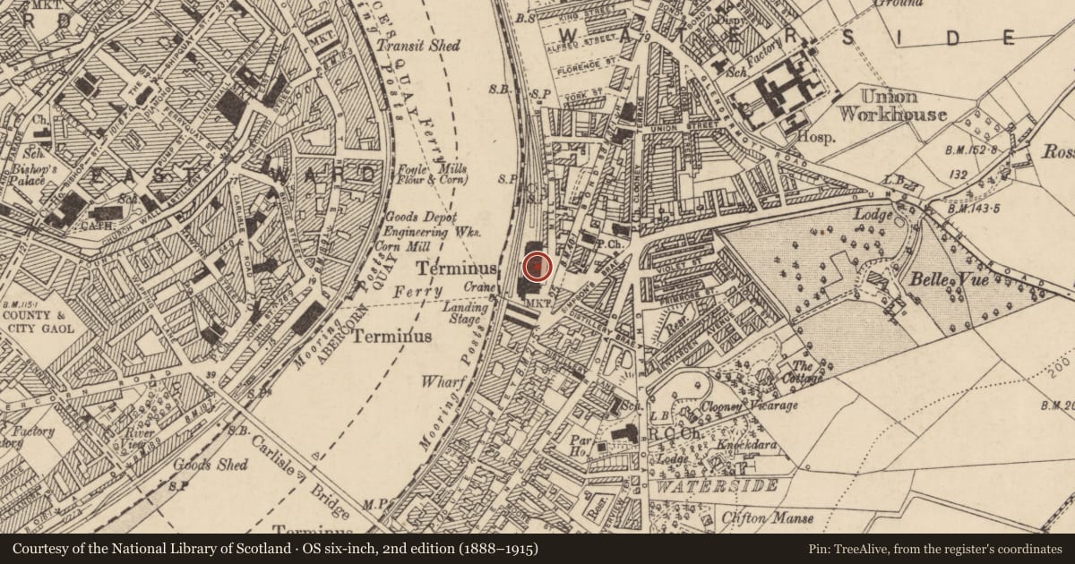 Ordnance Survey six-inch map, 2nd edition (1888–1915) covering the location of 1 Waterside Link, Londonderry, Co Londonderry, BT47 ^DH, Clooney, Derry City and Strabane, with a pin at the register's coordinates