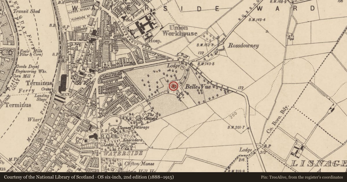 Ordnance Survey six-inch map, 2nd edition (1888–1915) covering the location of Chapel at Good Shepherd Convent, Derry City and Strabane, with a pin at the register's coordinates