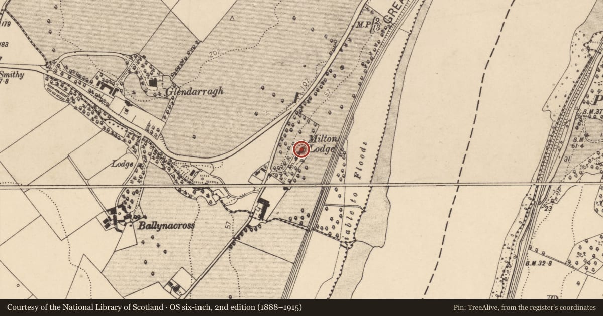 Ordnance Survey six-inch map, 2nd edition (1888–1915) covering the location of Milltown House, Termonbacca, Derry City and Strabane, with a pin at the register's coordinates