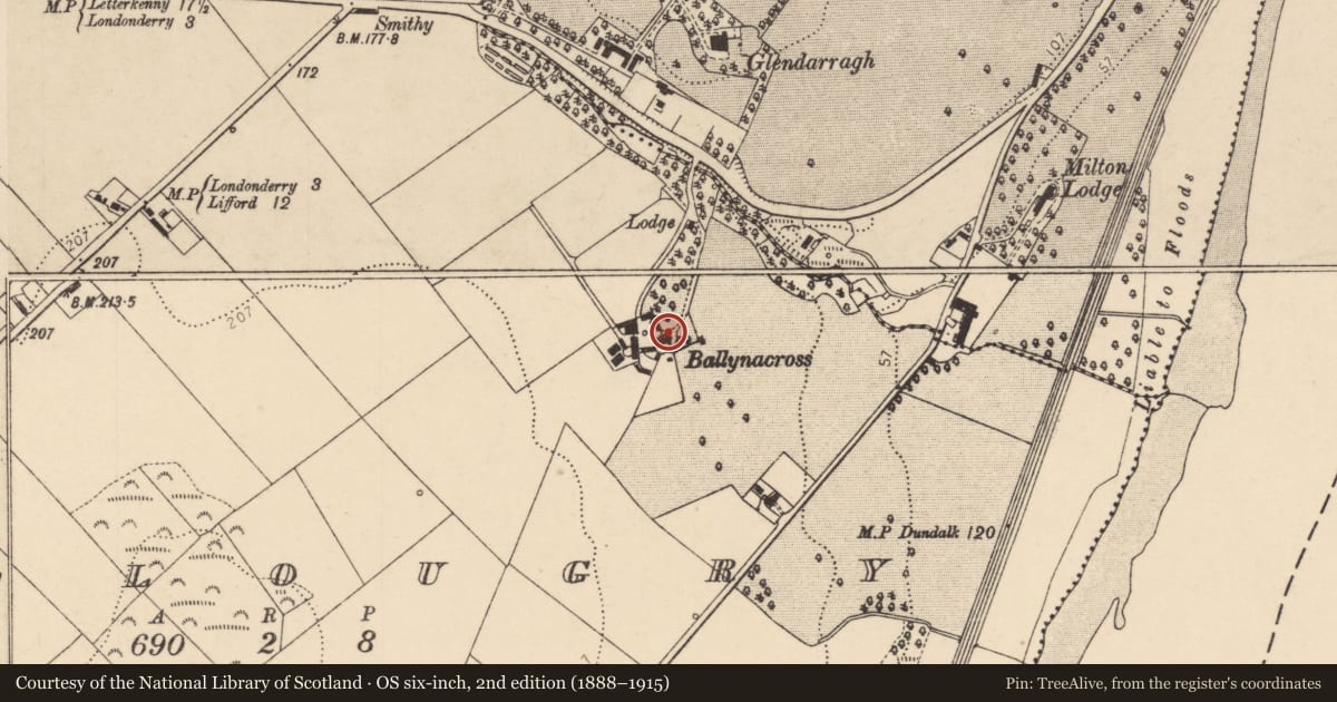 Ordnance Survey six-inch map, 2nd edition (1888–1915) covering the location of BALLYNACROSS, Ballougry, Derry City and Strabane, with a pin at the register's coordinates