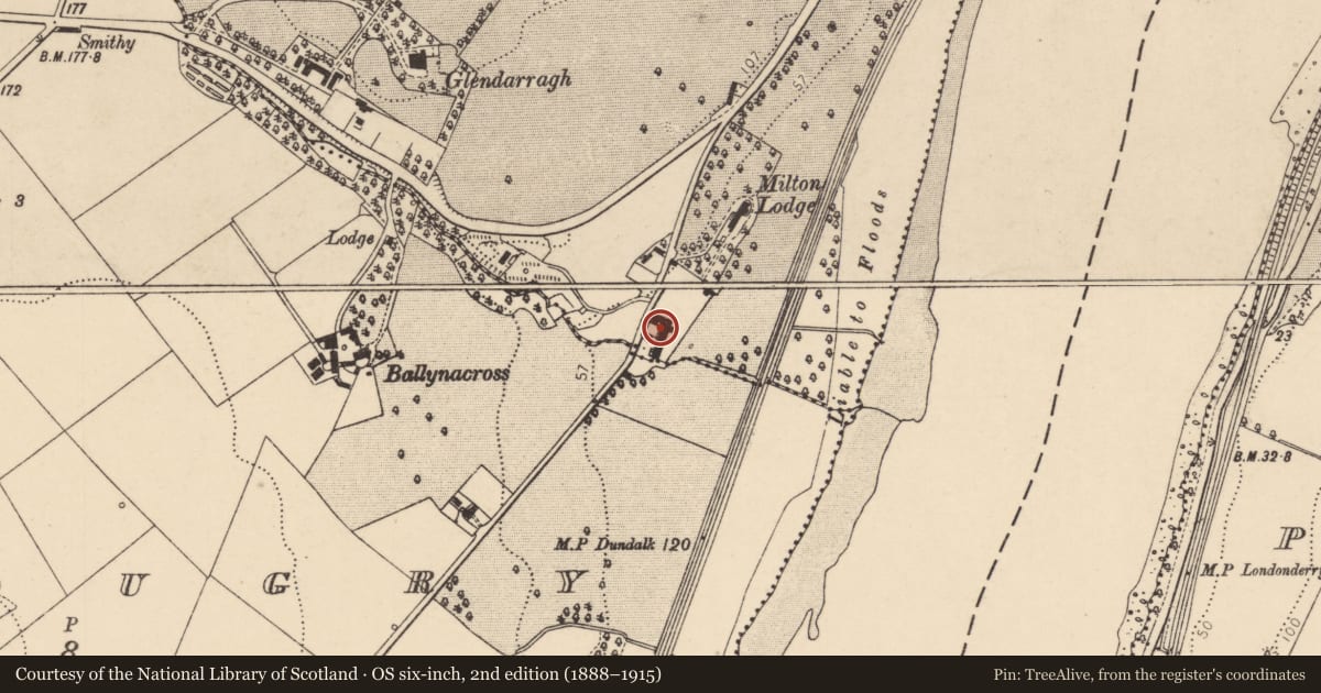 Ordnance Survey six-inch map, 2nd edition (1888–1915) covering the location of Milltown Lodge Farm, Termonbacca, Derry City and Strabane, with a pin at the register's coordinates