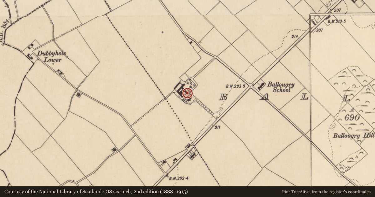 Ordnance Survey six-inch map, 2nd edition (1888–1915) covering the location of Windmill, Balloughery, Derry City and Strabane, with a pin at the register's coordinates