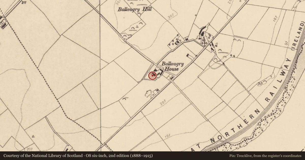 Ordnance Survey six-inch map, 2nd edition (1888–1915) covering the location of Ballougry House, Derry City and Strabane, with a pin at the register's coordinates