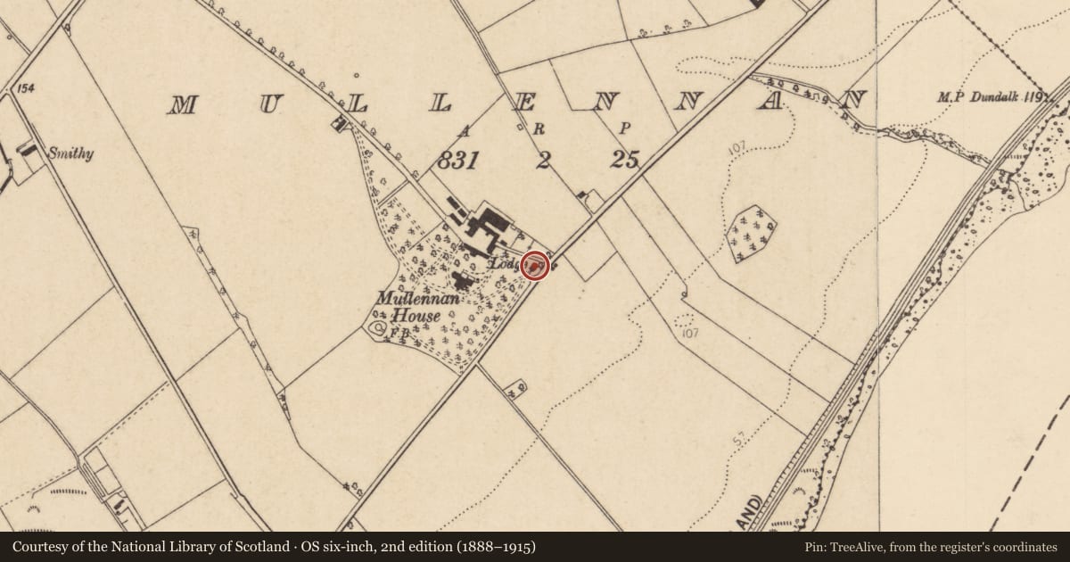 Ordnance Survey six-inch map, 2nd edition (1888–1915) covering the location of Gate Lodge, 57 Ballougry Road, Mullennan, Derry City and Strabane, with a pin at the register's coordinates