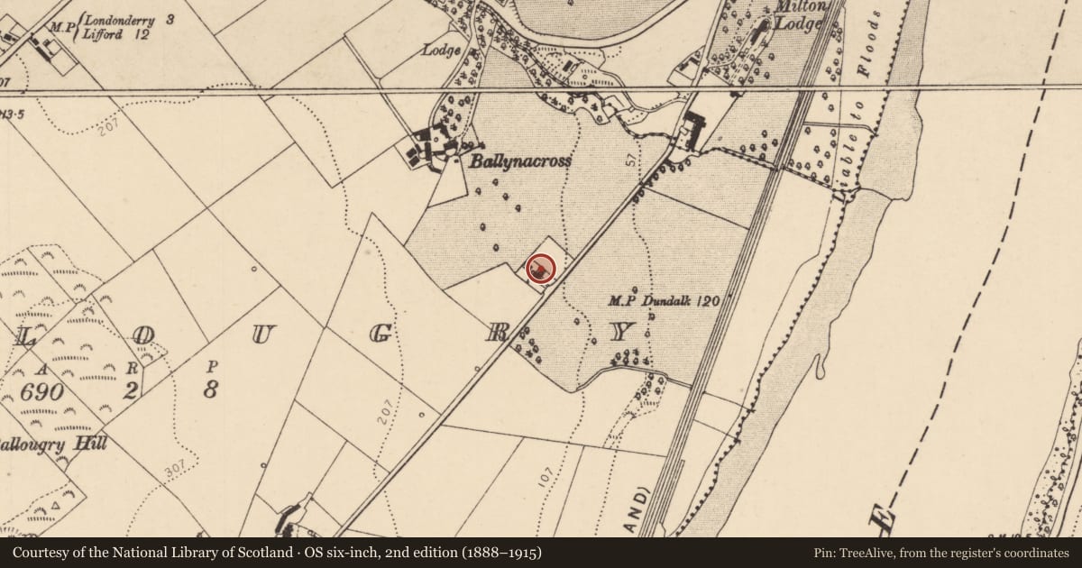 Ordnance Survey six-inch map, 2nd edition (1888–1915) covering the location of 17 Ballougry Road, Derry City and Strabane, with a pin at the register's coordinates