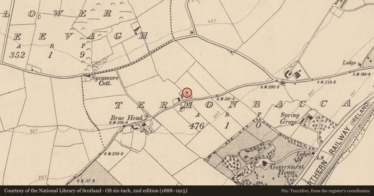 Ordnance Survey six-inch map, 2nd edition (1888–1915) covering the location of Foyle House, Termonbacca, Derry City and Strabane, with a pin at the register's coordinates