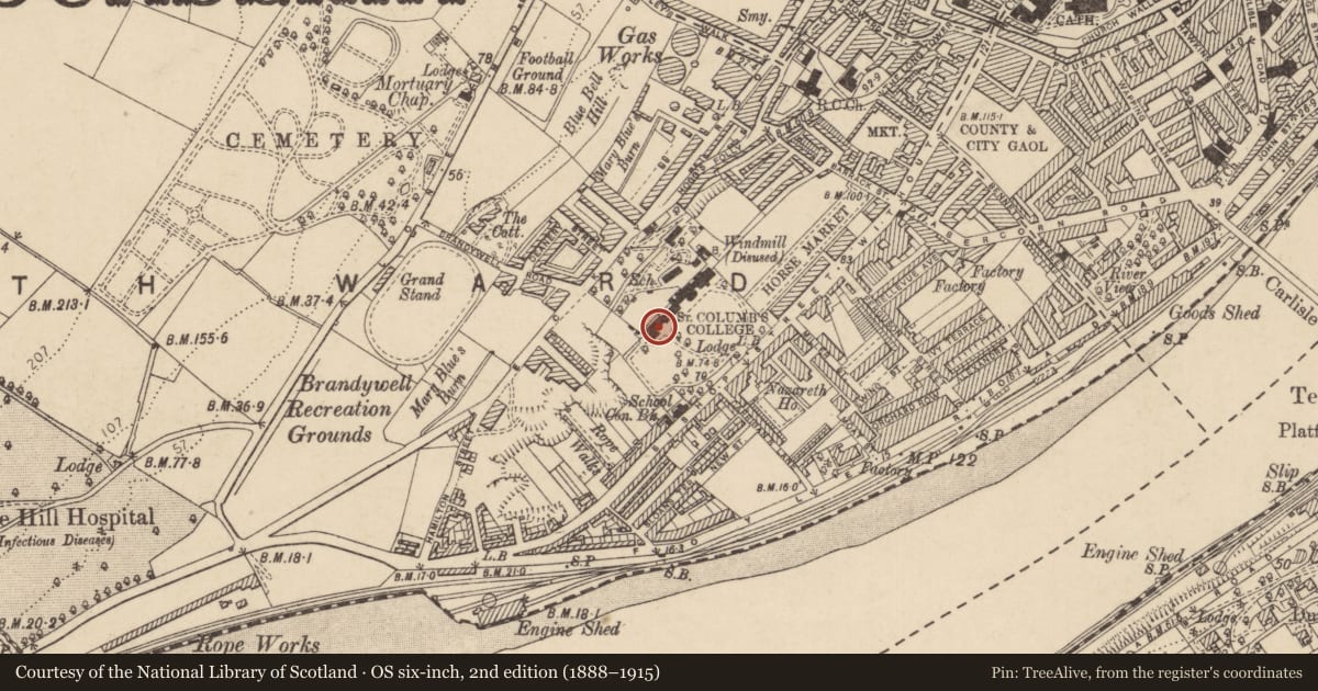 Ordnance Survey six-inch map, 2nd edition (1888–1915) covering the location of Lumen Christi College, Londonderry, Derry City and Strabane, with a pin at the register's coordinates