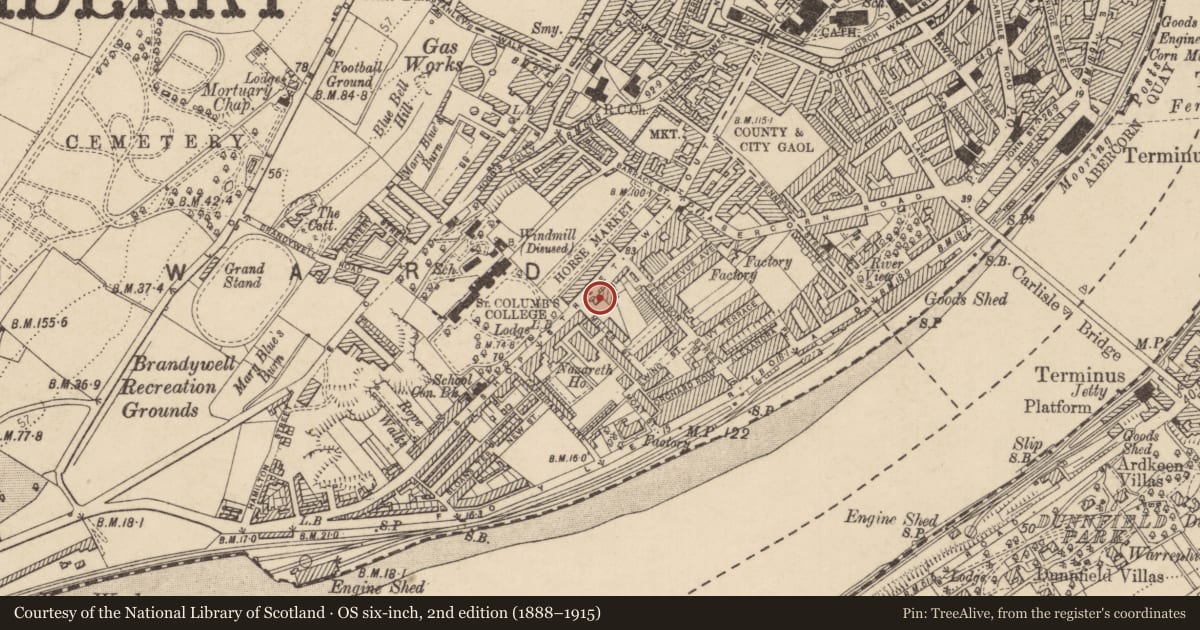 Ordnance Survey six-inch map, 2nd edition (1888–1915) covering the location of 164 Bishop Street, Londonderry, Derry City and Strabane, with a pin at the register's coordinates