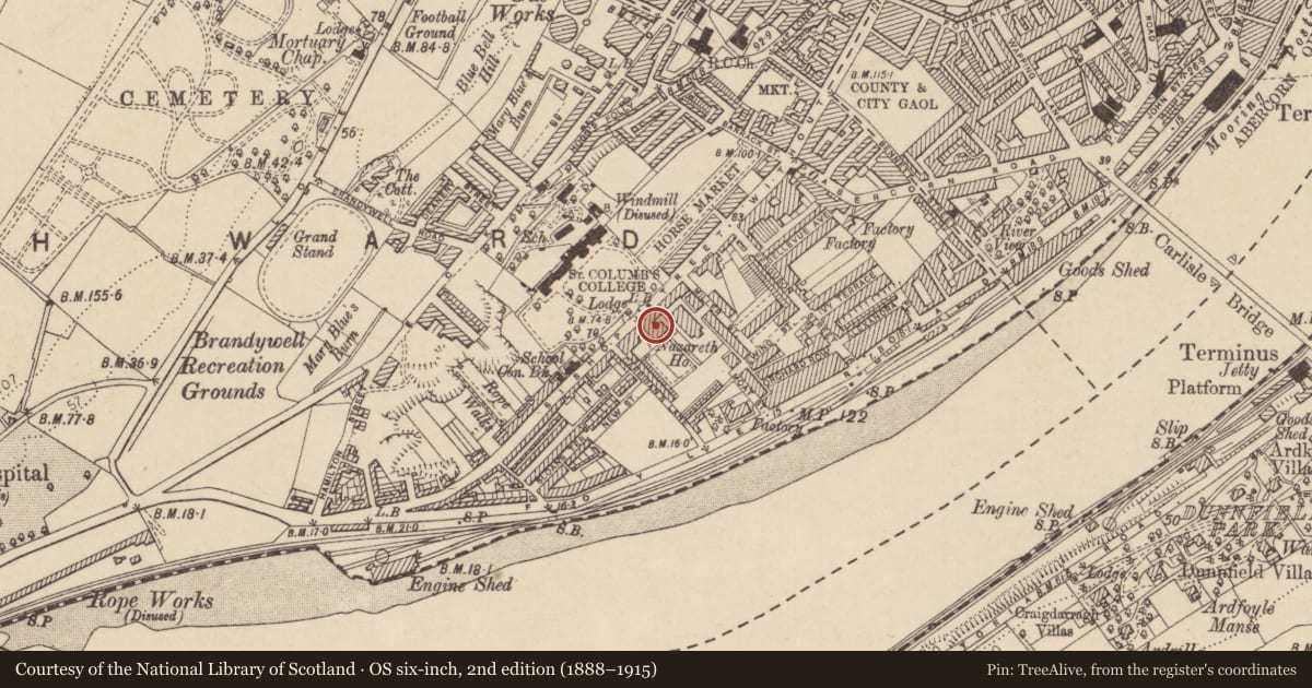 Ordnance Survey six-inch map, 2nd edition (1888–1915) covering the location of 174 Bishop Street, Londonderry, Derry City and Strabane, with a pin at the register's coordinates