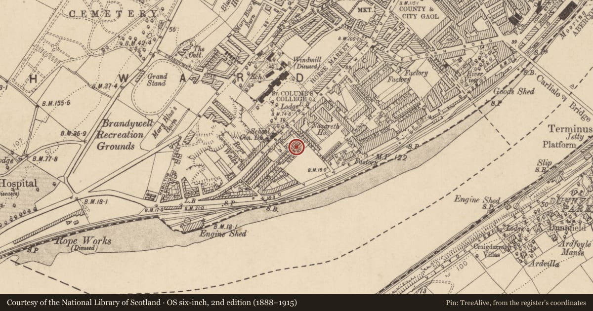 Ordnance Survey six-inch map, 2nd edition (1888–1915) covering the location of 1 Alexander Memorial Cottages, Londonderry, Derry City and Strabane, with a pin at the register's coordinates