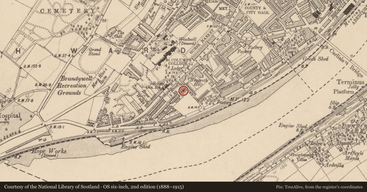 Ordnance Survey six-inch map, 2nd edition (1888–1915) covering the location of 4 Alexander Memorial Cottages, Londonderry, Derry City and Strabane, with a pin at the register's coordinates