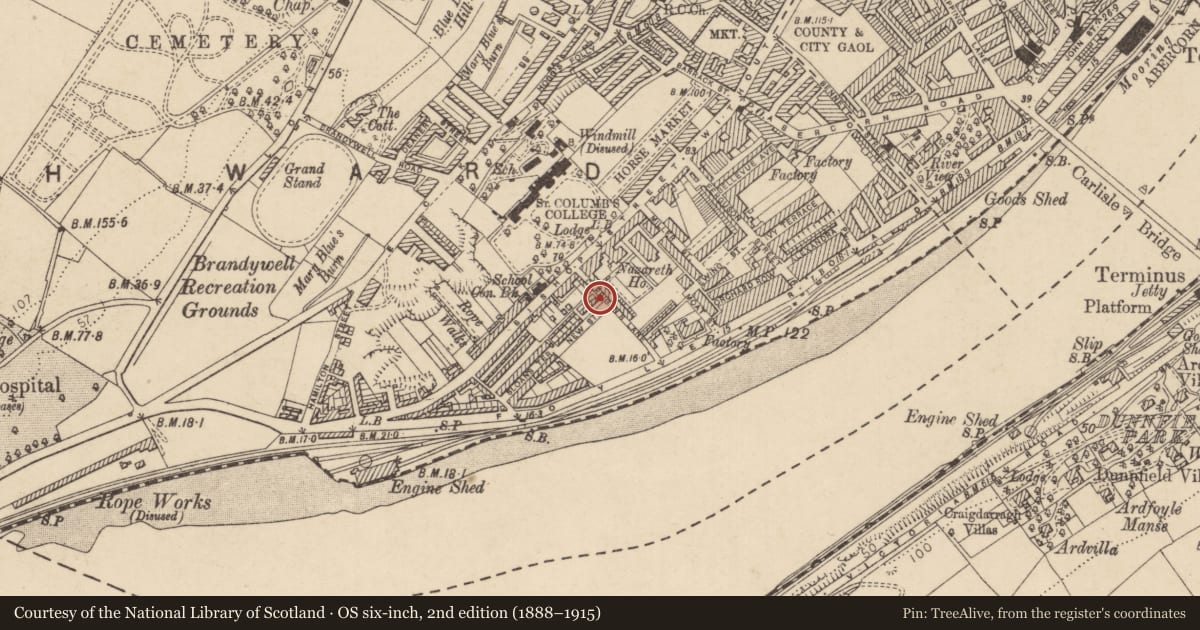 Ordnance Survey six-inch map, 2nd edition (1888–1915) covering the location of 6 Alexander Memorial Cottages, Londonderry, Derry City and Strabane, with a pin at the register's coordinates