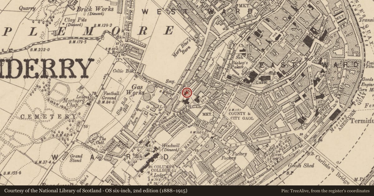 Ordnance Survey six-inch map, 2nd edition (1888–1915) covering the location of Former St Columb's Convent, Londonderry, Derry City and Strabane, with a pin at the register's coordinates