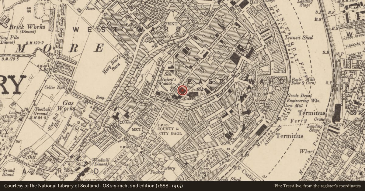 Ordnance Survey six-inch map, 2nd edition (1888–1915) covering the location of Court House, Bishop Street, Londonderry, County Londonderry BT48 6PQ, Derry City and Strabane, with a pin at the register's coordinates