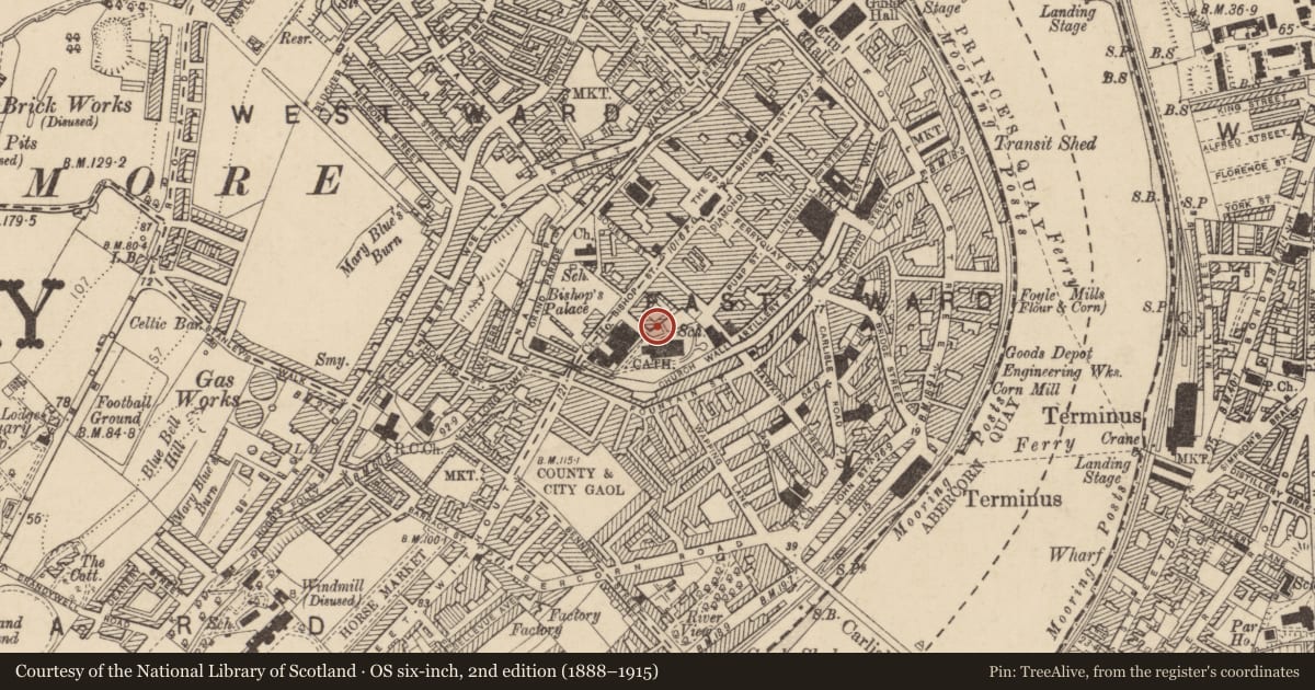 Ordnance Survey six-inch map, 2nd edition (1888–1915) covering the location of 6 St. Columb'S Court, Londonderry, Derry City and Strabane, with a pin at the register's coordinates