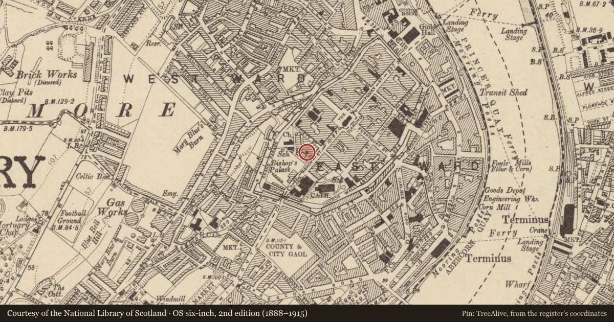 Ordnance Survey six-inch map, 2nd edition (1888–1915) covering the location of 23 Bishop Street, Londonderry, Derry City and Strabane, with a pin at the register's coordinates