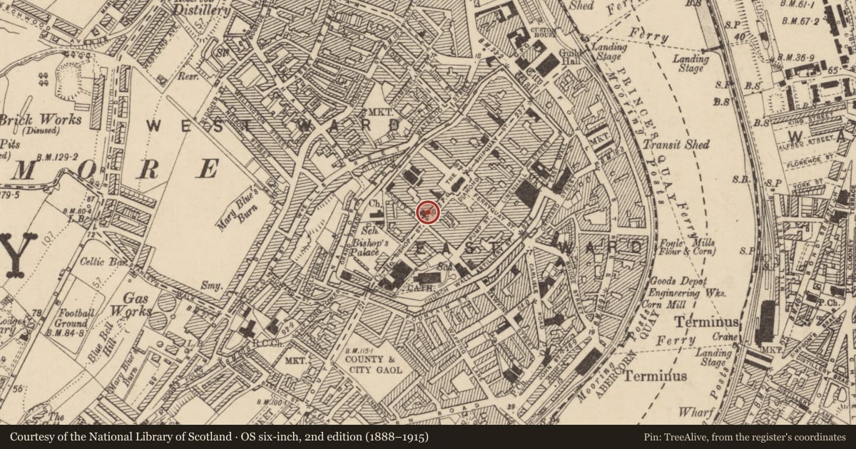 Ordnance Survey six-inch map, 2nd edition (1888–1915) covering the location of Probate Office, Londonderry, Derry City and Strabane, with a pin at the register's coordinates