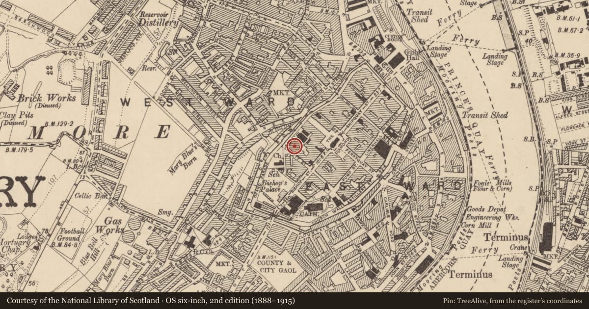 Ordnance Survey six-inch map, 2nd edition (1888–1915) covering the location of Apprentice Boys, LONDONDERRY, Derry City and Strabane, with a pin at the register's coordinates