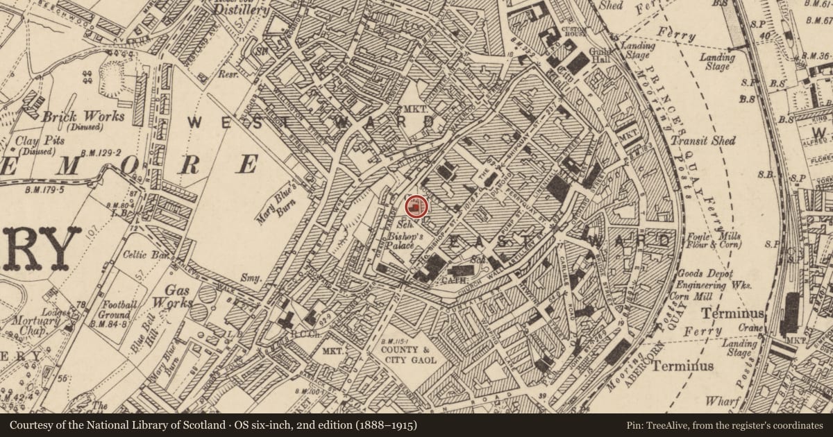 Ordnance Survey six-inch map, 2nd edition (1888–1915) covering the location of St. Augustine's Church, Londonderry, Derry City and Strabane, with a pin at the register's coordinates