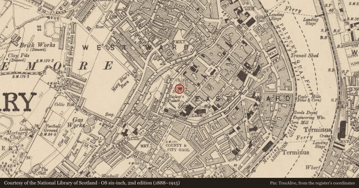 Ordnance Survey six-inch map, 2nd edition (1888–1915) covering the location of St Augustine's School (Church Hall), Palace Street, Londonderry, Derry City and Strabane, with a pin at the register's coordinates