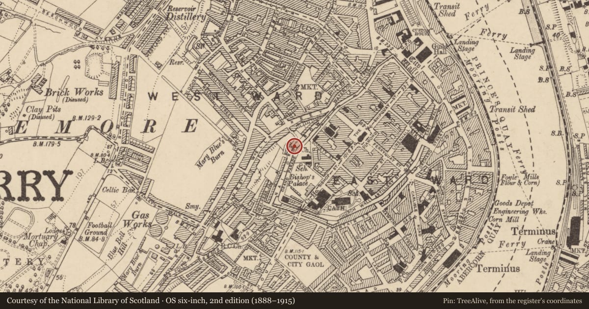 Ordnance Survey six-inch map, 2nd edition (1888–1915) covering the location of The Walker Memorial Plinth, Derry City and Strabane, with a pin at the register's coordinates