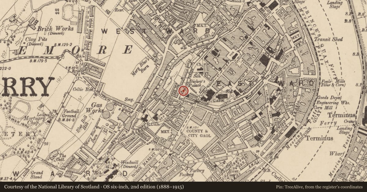 Ordnance Survey six-inch map, 2nd edition (1888–1915) covering the location of City Wall, Derry City and Strabane, with a pin at the register's coordinates