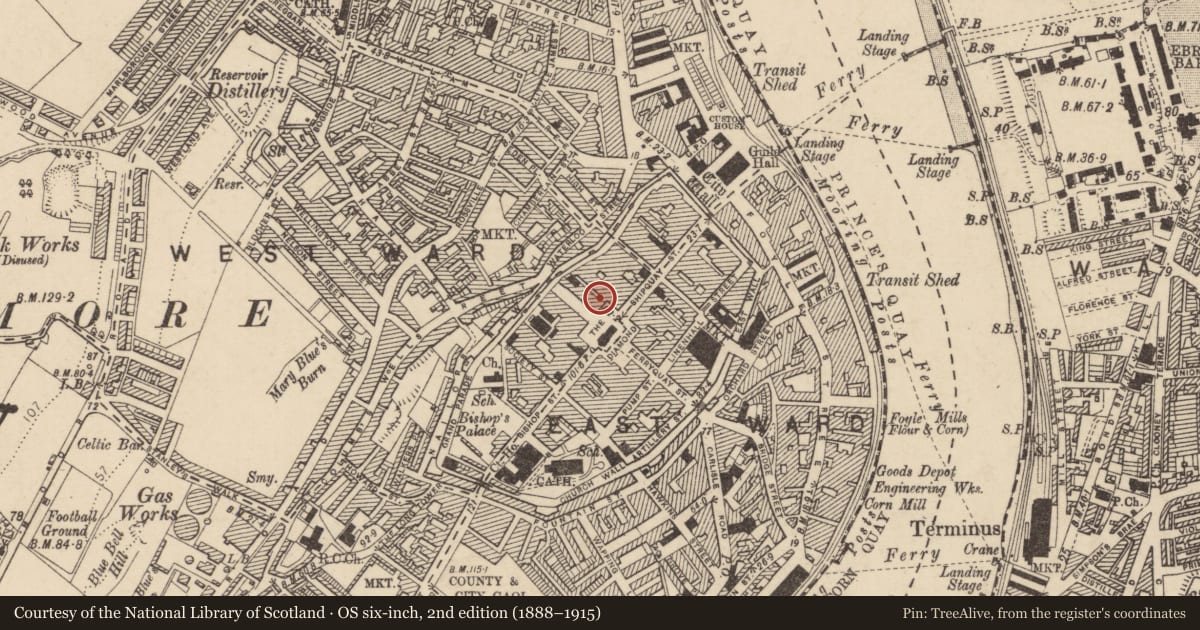 Ordnance Survey six-inch map, 2nd edition (1888–1915) covering the location of 19 The Diamond, Derry City and Strabane, with a pin at the register's coordinates