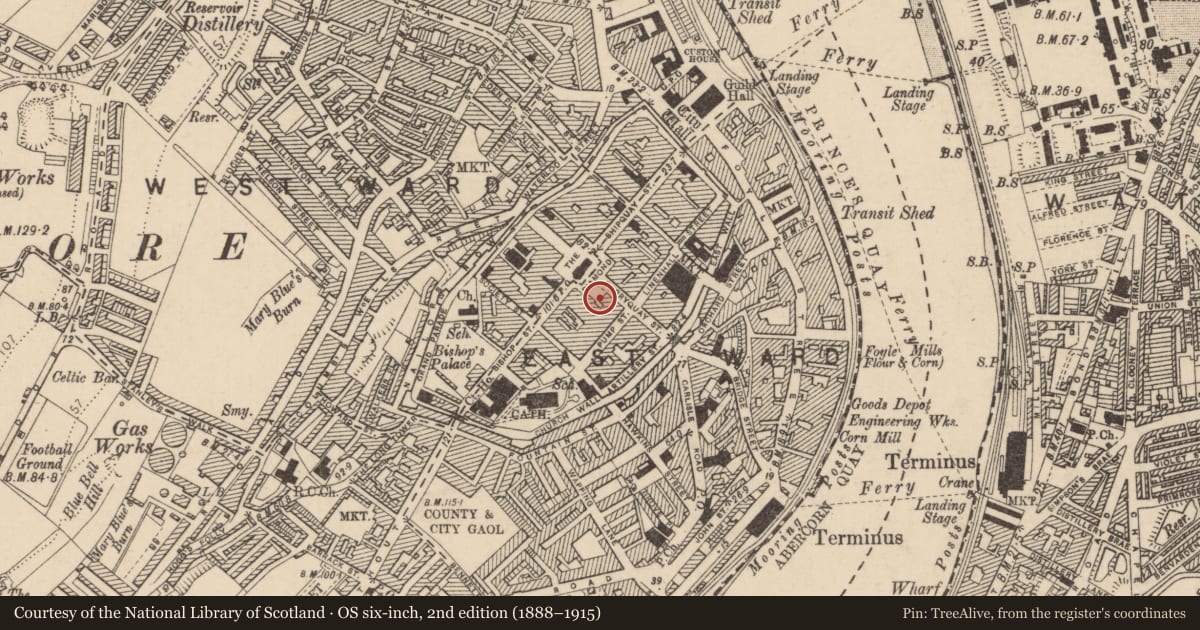 Ordnance Survey six-inch map, 2nd edition (1888–1915) covering the location of Austins, 2-6 The Diamond, Ferryquay Street, Londonderry, Co.Londonderry, BT48 6HR, Derry City and Strabane, with a pin at the register's coordinates