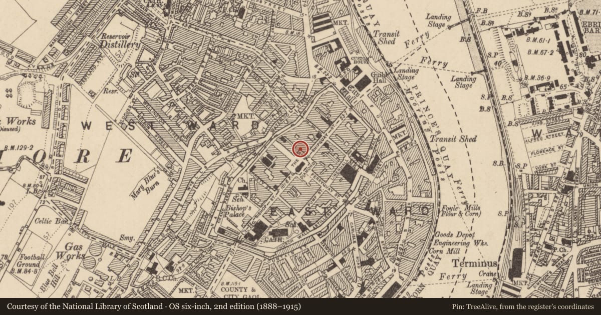 Ordnance Survey six-inch map, 2nd edition (1888–1915) covering the location of 15 The Diamond, Londonderry, Derry City and Strabane, with a pin at the register's coordinates