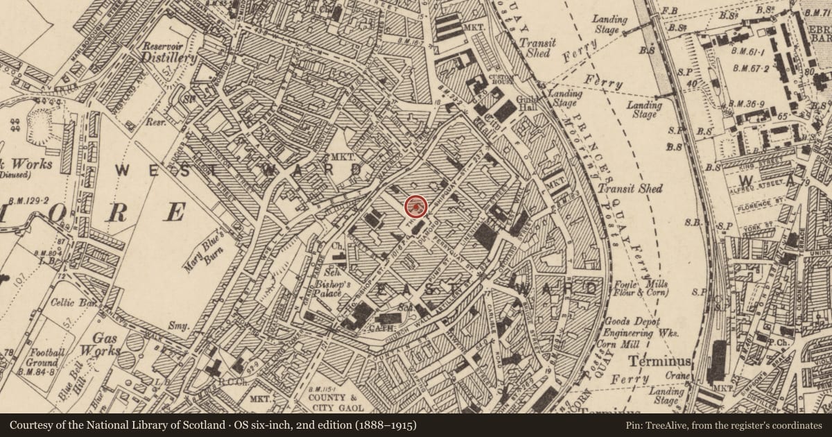 Ordnance Survey six-inch map, 2nd edition (1888–1915) covering the location of 16 The Diamond, Londonderry, Derry City and Strabane, with a pin at the register's coordinates