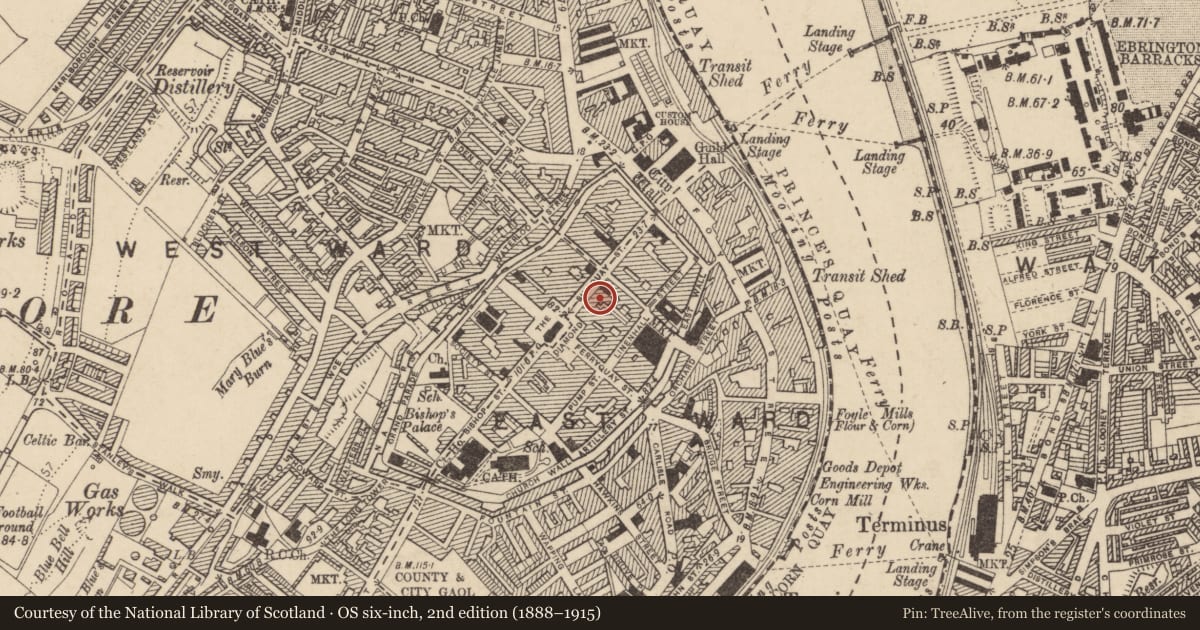 Ordnance Survey six-inch map, 2nd edition (1888–1915) covering the location of Allied Irish Bank, Londonderry, Derry City and Strabane, with a pin at the register's coordinates