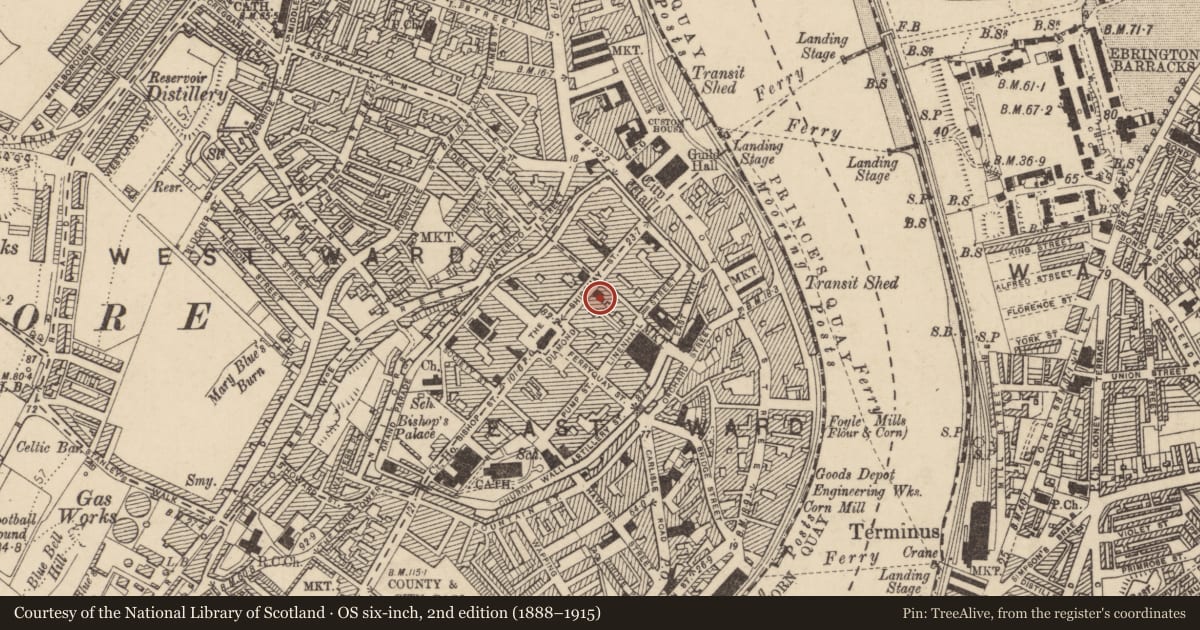 Ordnance Survey six-inch map, 2nd edition (1888–1915) covering the location of 13 Shipquay Street, Londonderry, Derry City and Strabane, with a pin at the register's coordinates