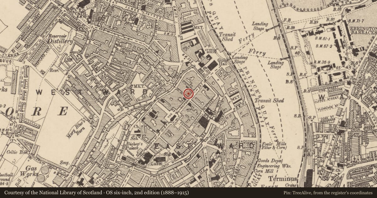 Ordnance Survey six-inch map, 2nd edition (1888–1915) covering the location of No.2 Castle Street &, Londonderry, Derry City and Strabane, with a pin at the register's coordinates
