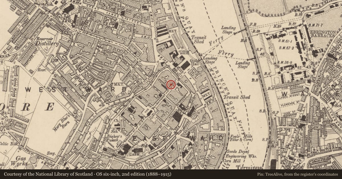 Ordnance Survey six-inch map, 2nd edition (1888–1915) covering the location of 28 Shipquay Street (The Gift Box), Londonderry, Derry City and Strabane, with a pin at the register's coordinates