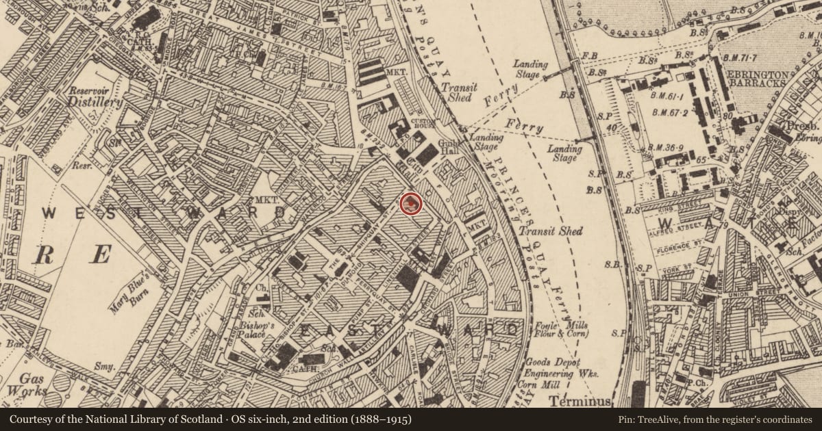 Ordnance Survey six-inch map, 2nd edition (1888–1915) covering the location of 35-37 Shipquay St., Londonderry, Derry City and Strabane, with a pin at the register's coordinates